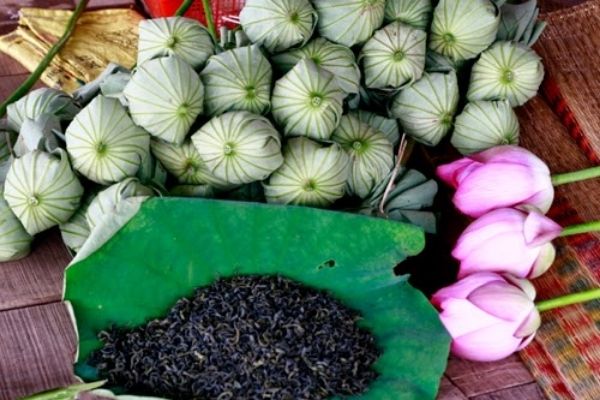 Công đoạn ủ trà trong lá sen