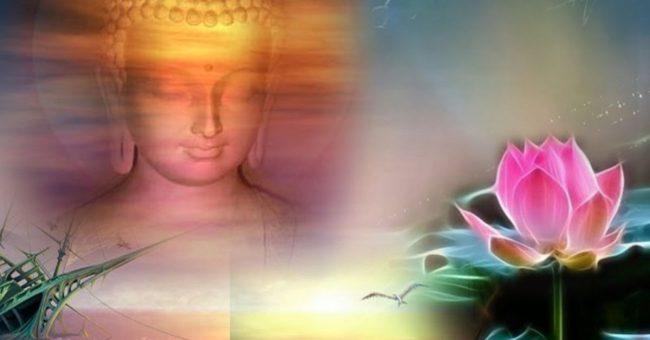 Hoa sen trong Phật Giáo 8 đặc tính tuyệt diệu Hoa sen trong Phật Giáo 8 đặc tính tuyệt diệu