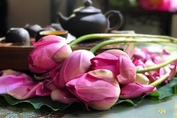 Thưởng thức trà ướp hoa sen