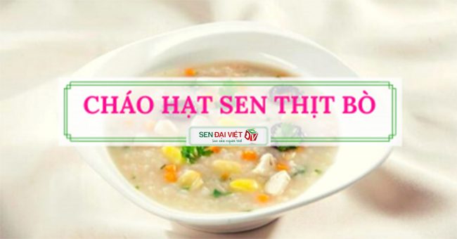 Bật mí công thức nấu món cháo hạt sen thịt bò bổ dưỡng cho bé Bật mí công thức nấu món cháo hạt sen thịt bò bổ dưỡng cho bé