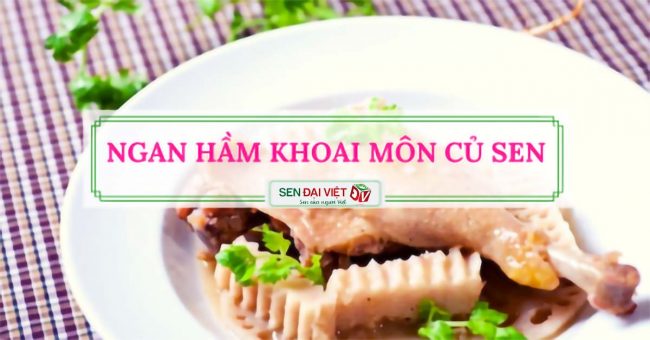 Bí kíp làm món ngan hầm khoai môn củ sen béo thơm mà không hề ngán Bí kíp làm món ngan hầm khoai môn củ sen béo thơm mà không hề ngán
