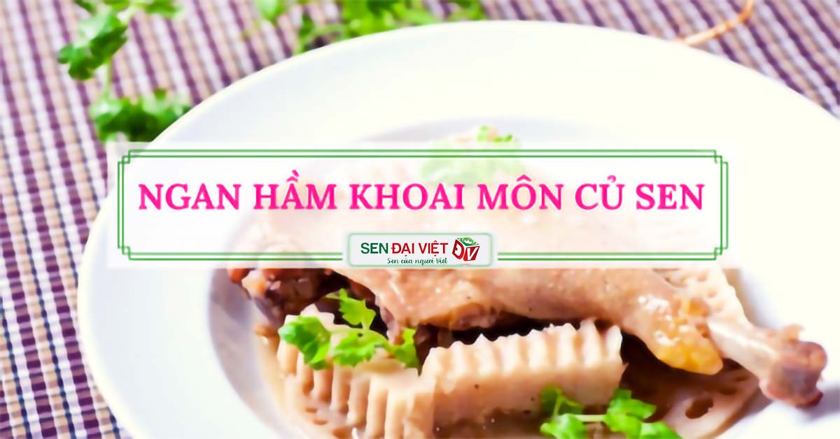 Bí kíp làm món ngan hầm khoai môn củ sen béo thơm mà không hề ngán Bí kíp làm món ngan hầm khoai môn củ sen béo thơm mà không hề ngán