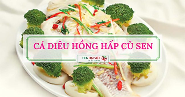 Bí kíp thơm ngon, dinh dưỡng cho món cá diêu hồng hấp củ sen