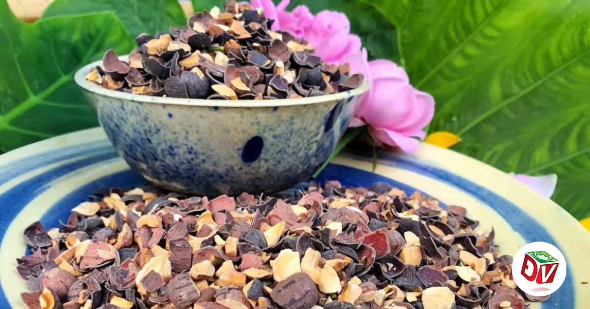 Cách chế biến trà hạt sen thơm mát, ngỡ món quen mà lại chưa quen