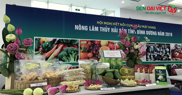 Gian hàng giới thiệu sản phẩm của Sen Đại Việt tại Hội nghị kết nối cung cầu