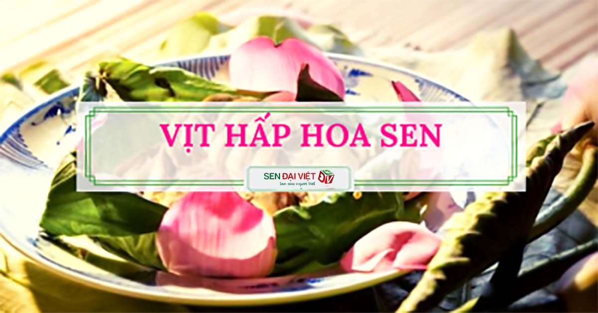 Mới lạ với món vịt hấp hoa sen ngon mềm tròn vị thấm hương sen