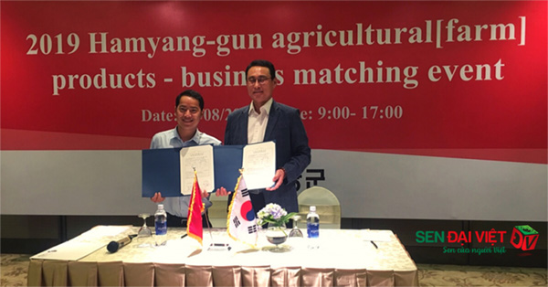 Sen Đại Việt ký thỏa thuận hợp tác đầu tư với Công ty Hwashin Hàn Quốc