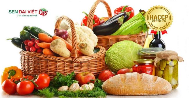 12 bước xây dựng và áp dụng HACCP