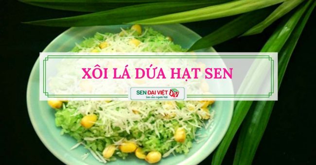Xôi lá dứa hạt sen dẻo ngon thơm vị dứa, bùi vị sen Xôi lá dứa hạt sen dẻo ngon thơm vị dứa, bùi vị sen