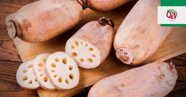 cu-sen-co-tac-dung-gi Củ sen có tác dụng gì