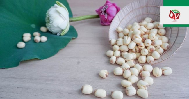 hat-sen-tuoi-1 Hạt sen tươi