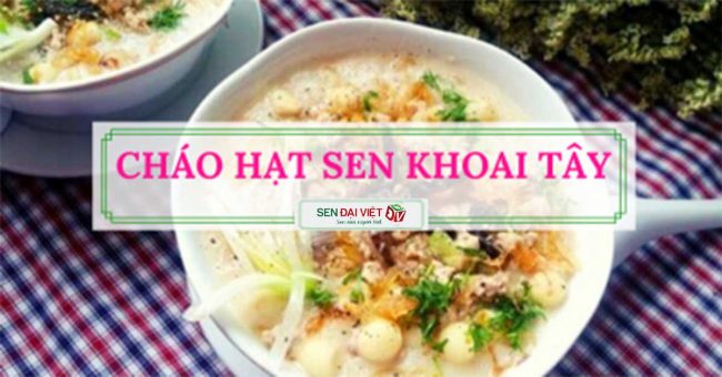 Hướng dẫn công thức cháo hạt sen khoai tây cho bé yêu