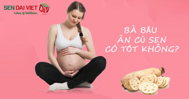 Bà Bầu Ăn Củ Sen Có Tốt Không? 8 Công Dụng Hiệu Quả Bà Bầu Ăn Củ Sen Có Tốt Không? 8 Công Dụng Hiệu Quả