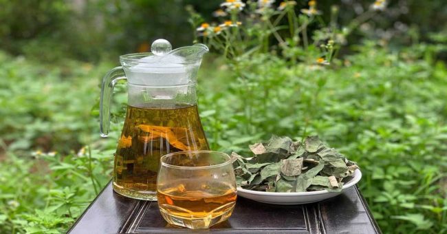 Công Dụng Của Lá Sen – Cách Uống Trà Lá Sen Đúng Cách Công Dụng Của Lá Sen - Cách Uống Trà Lá Sen Đúng Cách