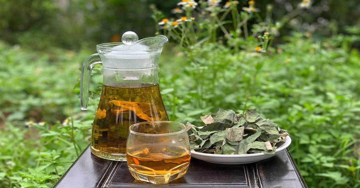 Công dụng của trà lá sen là gì Công dụng của trà lá sen là gì