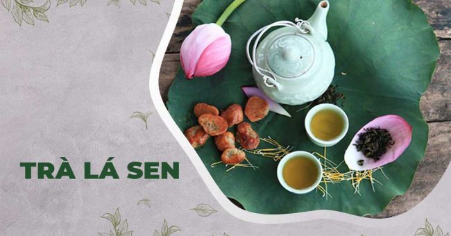 Chia Sẻ Cách Làm Trà Lá Sen Cực Đơn Giản Tại Nhà Chia Sẻ Cách Làm Trà Lá Sen Cực Đơn Giản Tại Nhà