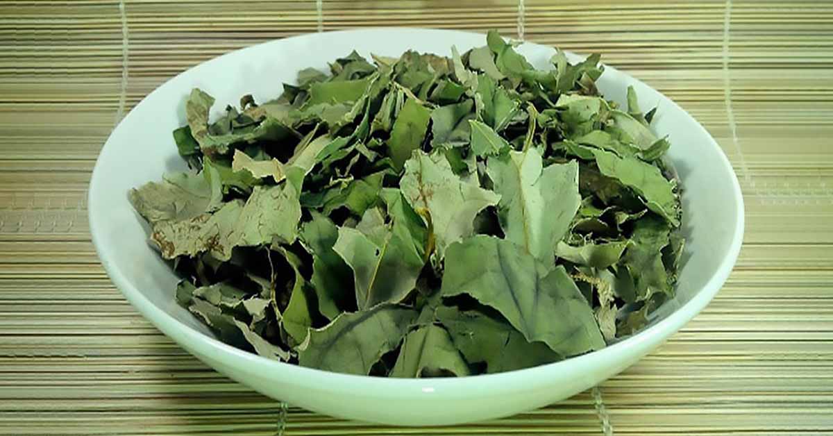 trà lá sen giảm cân với chanh