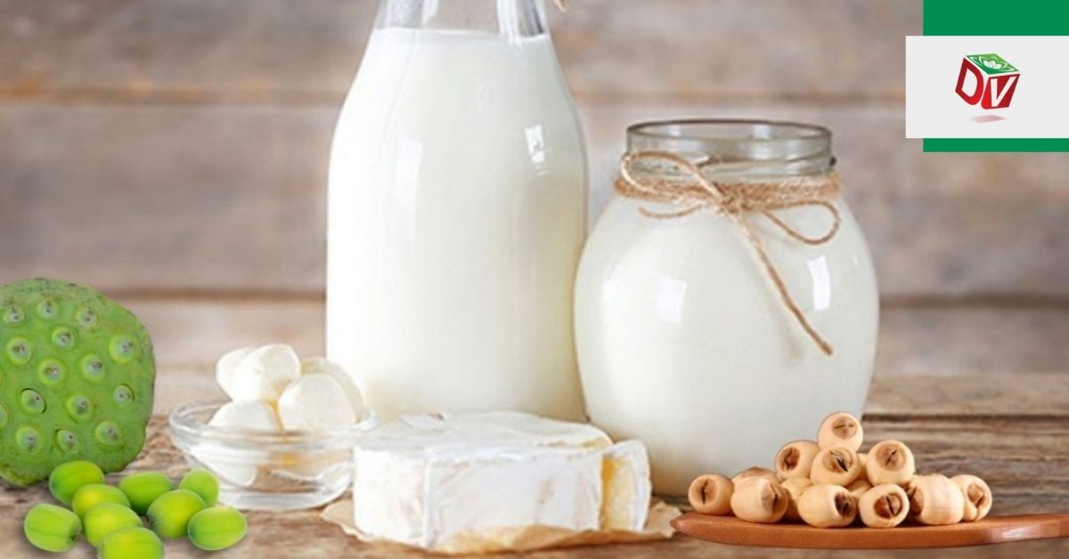 Cách làm sữa hạt sen