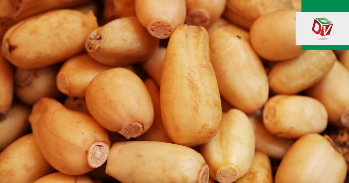 Cách bảo quản củ sen tươi