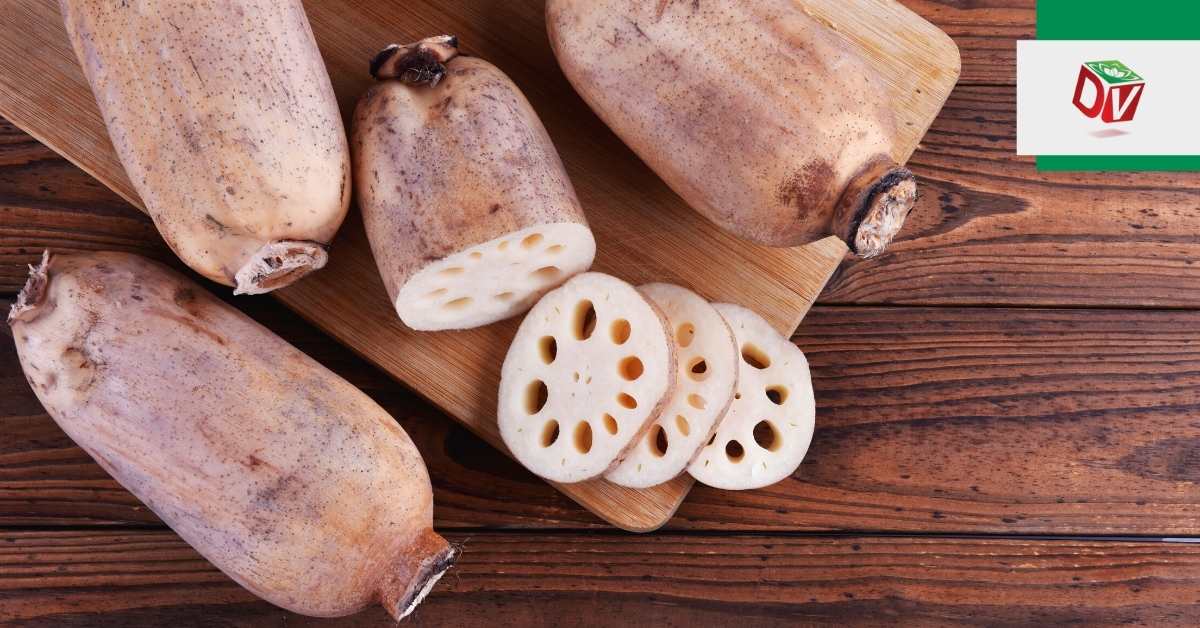 Củ sen giá bao nhiêu