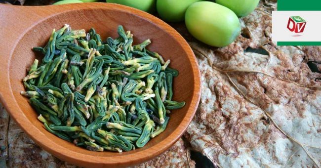 Tim sen chữa mất ngủ