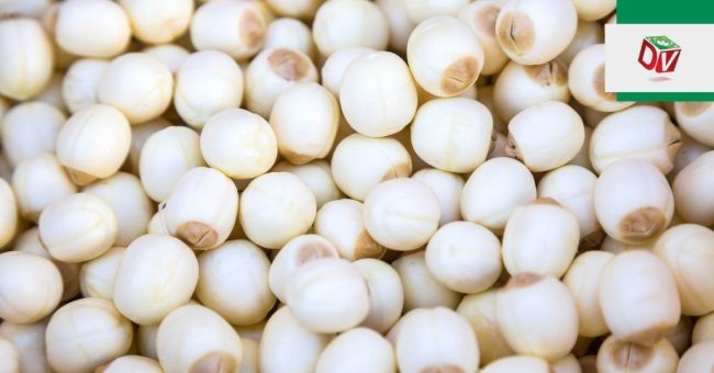 ban-hat-sen-tuoi Bán hạt sen tươi