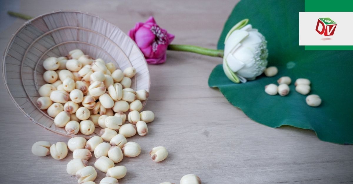 gia-hat-sen-tuoi Giá hạt sen tươi