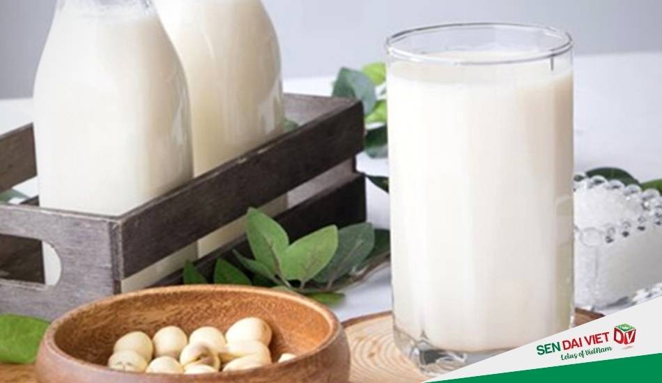 Top 10 Cách chế biến các loại sữa hạt sen thơm ngon, bổ dưỡng nhất