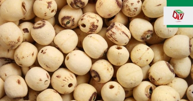 tac-dung-cua-hat-sen-kho Tác dụng của hạt sen khô