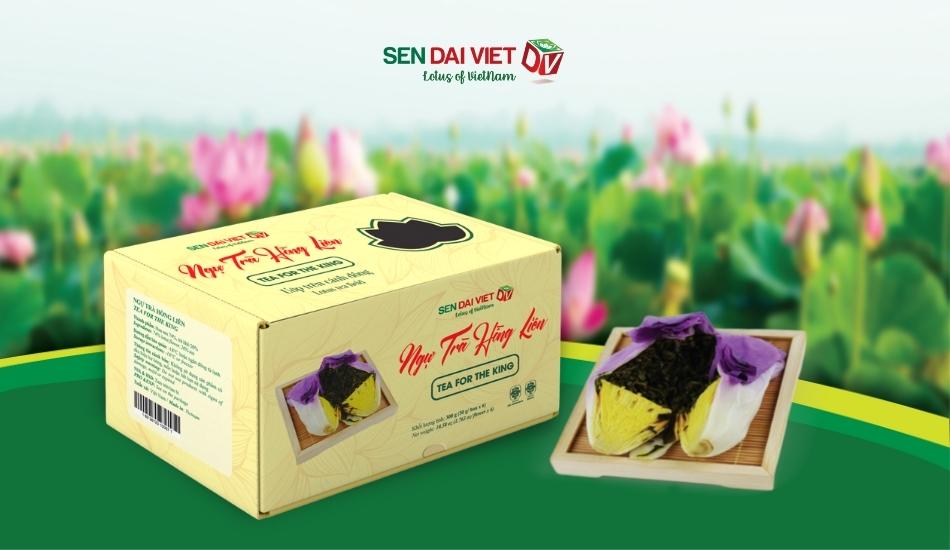 NGỰ TRÀ HỒNG LIÊN - Trà hoa sen ủ đông Sen Đại Việt