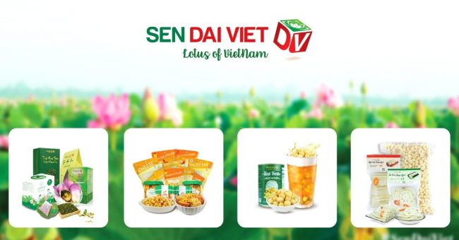 Khơi dậy hồn sen khẳng định giá trị Việt