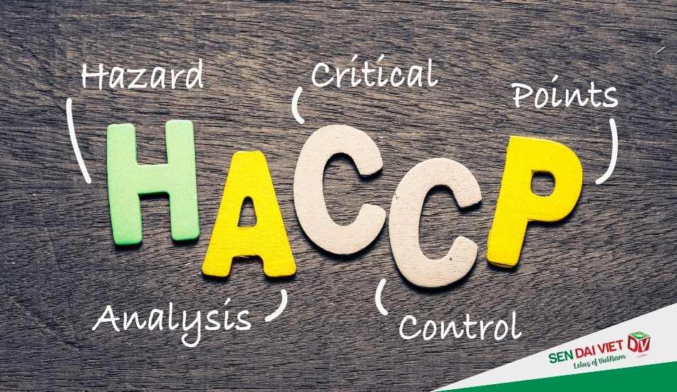 Những nguyên tắc cơ bản của HACCP