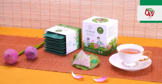 Sự đột phá trong cách ướp trà sen trên vùng đất sen hồng