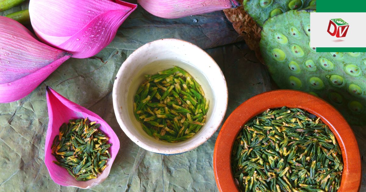 Uống trà tim sen mỗi ngày có tốt không?