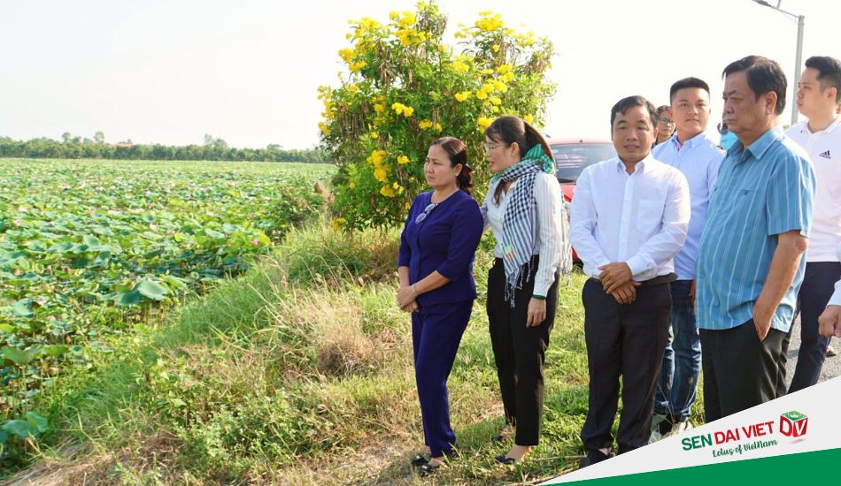 Ông Lê Minh Hoan Bộ trưởng Bộ NN&PTNN ghé thăm Cánh đồng Sen Đại Việt