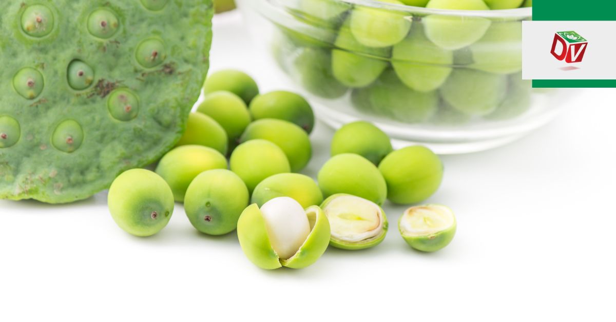 Món ngon từ hạt sen