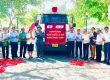Củ sen Việt Nam xuất khẩu đi Nhật