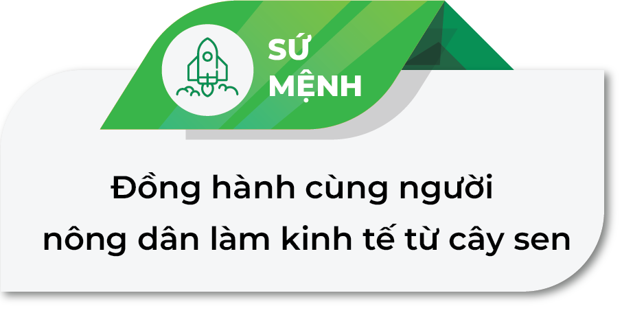 Sứ mệnh Sen Đại Việt