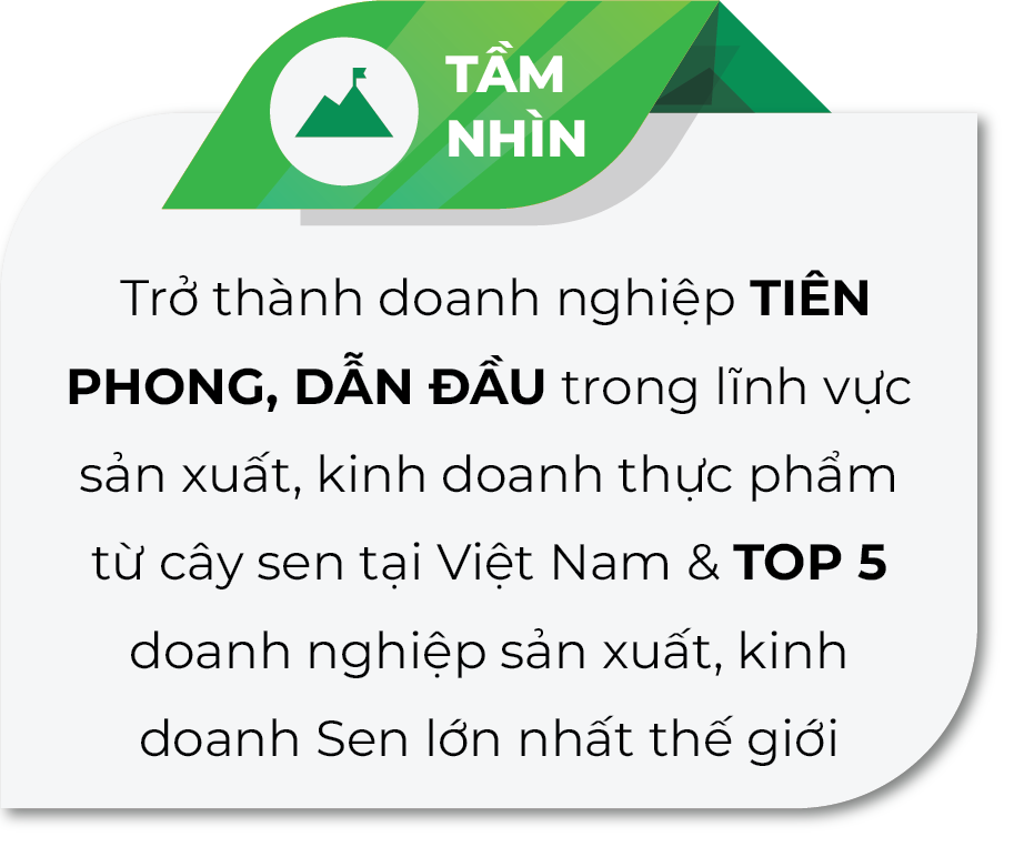 Tầm nhìn Sen Đại Việt