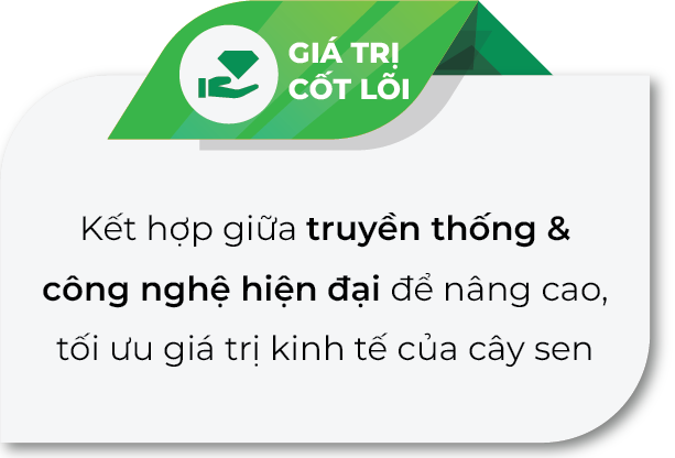 Giá trị cốt lõi Sen Đại Việt