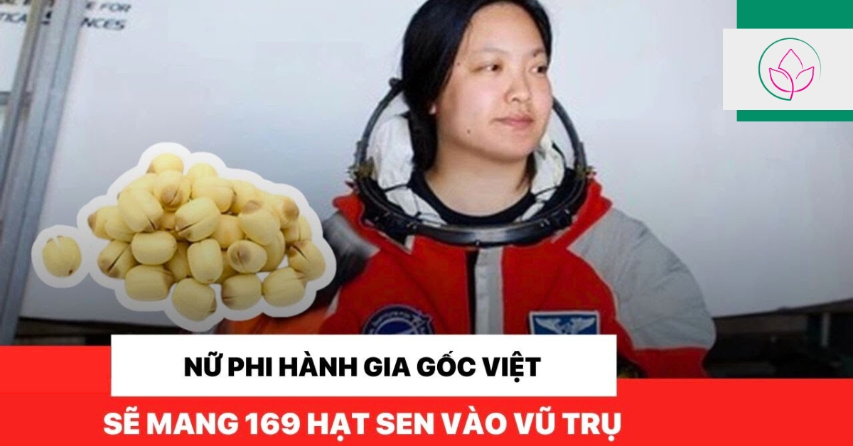 hat-sen-viet-nam-bay-vao-khong-gian Hạt sen Việt Nam bay vào không gian