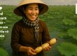 Nghề thu hoạch củ sen - Chuyện lấy củ từ bùn